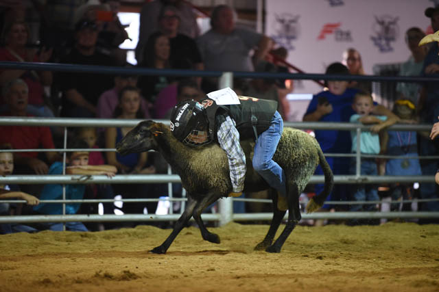 North Texas Fair & Rodeo